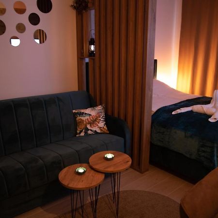 קופאוניק Apartman Larisa מראה חיצוני תמונה