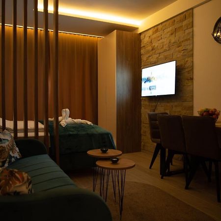 קופאוניק Apartman Larisa מראה חיצוני תמונה