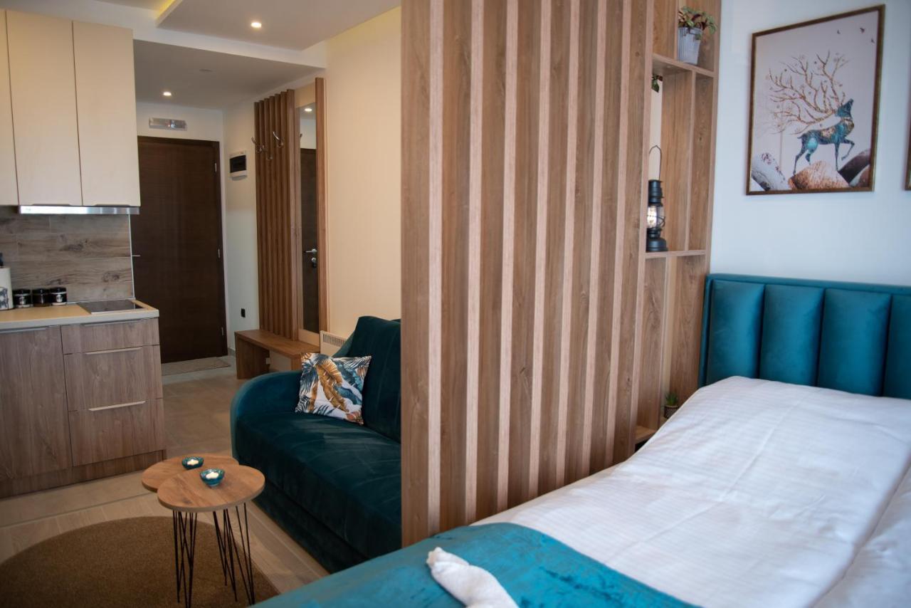 קופאוניק Apartman Larisa מראה חיצוני תמונה