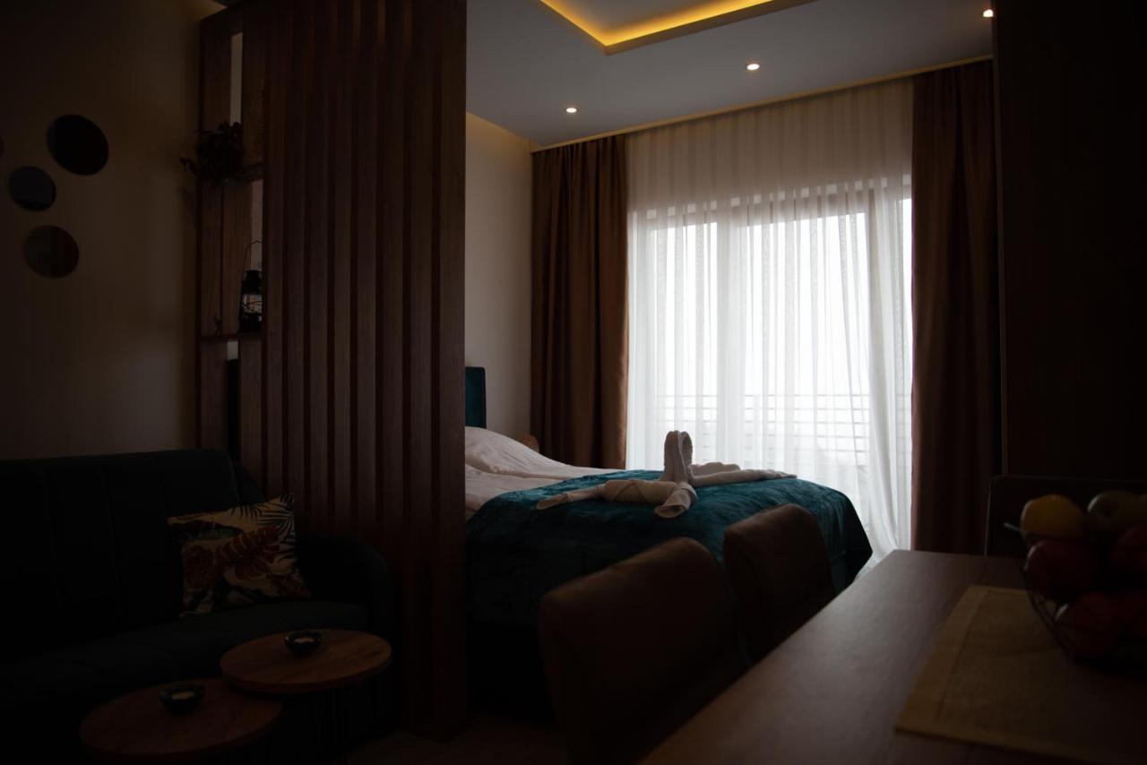 קופאוניק Apartman Larisa מראה חיצוני תמונה