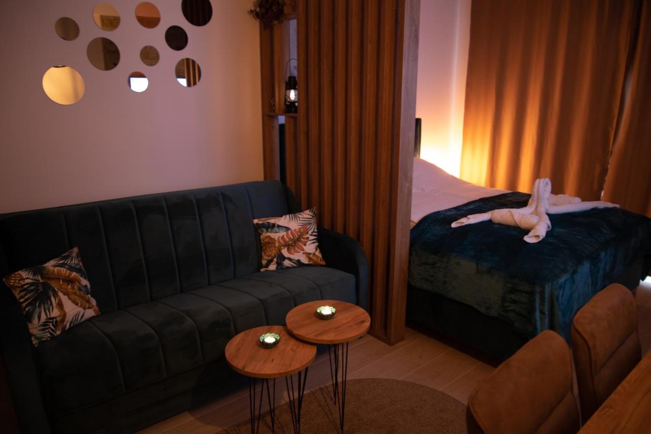 קופאוניק Apartman Larisa מראה חיצוני תמונה